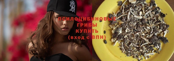 ECSTASY Всеволожск