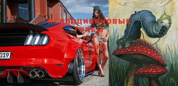 винт Покров