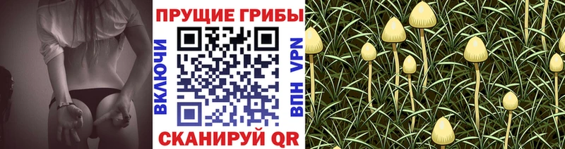 Псилоцибиновые грибы ЛСД  блэк спрут ТОР  Верхняя Салда 