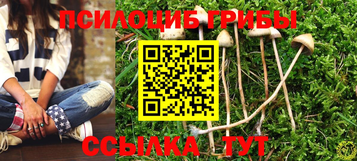 Псилоцибиновые грибы MAGIC MUSHROOMS  Верхняя Салда 